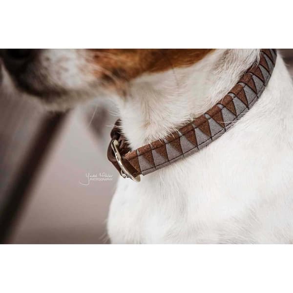 Kentucky Krave Triangle  44-54 cm
