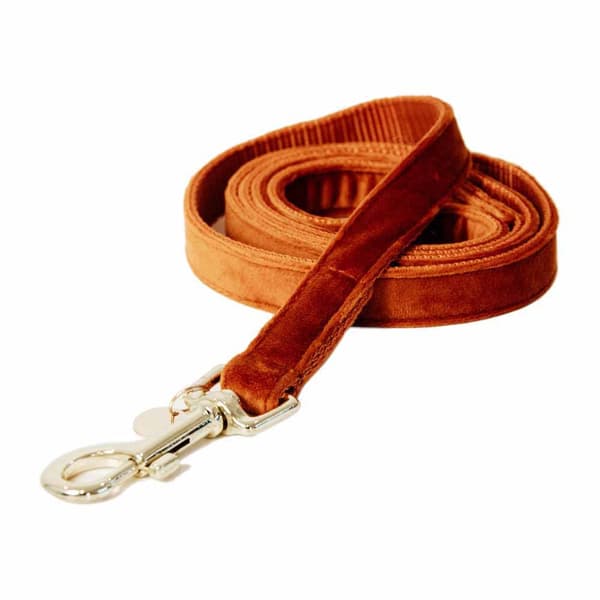 Kentucky Sammet Koppel 20 Mm  120 cm
