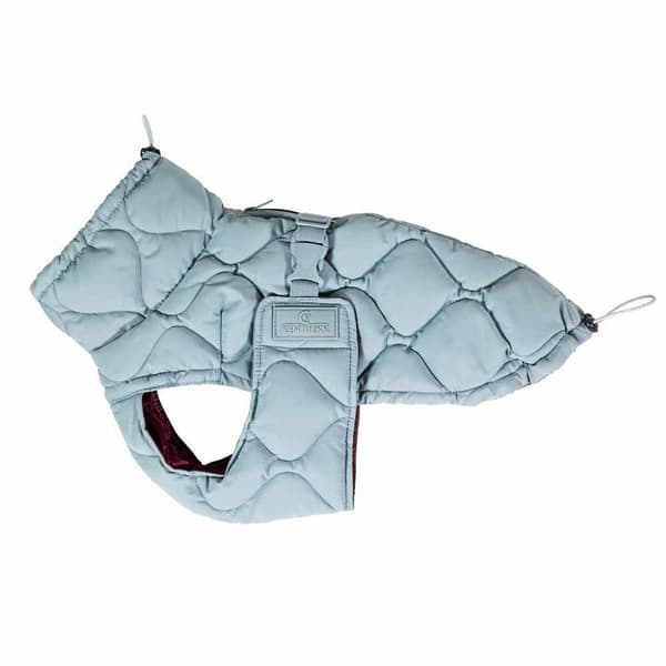 Kentucky Hundrock Winter Pina  32-38 cm