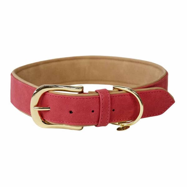 Kentucky Mjukt Veganskt Läderkrage  23-31 cm