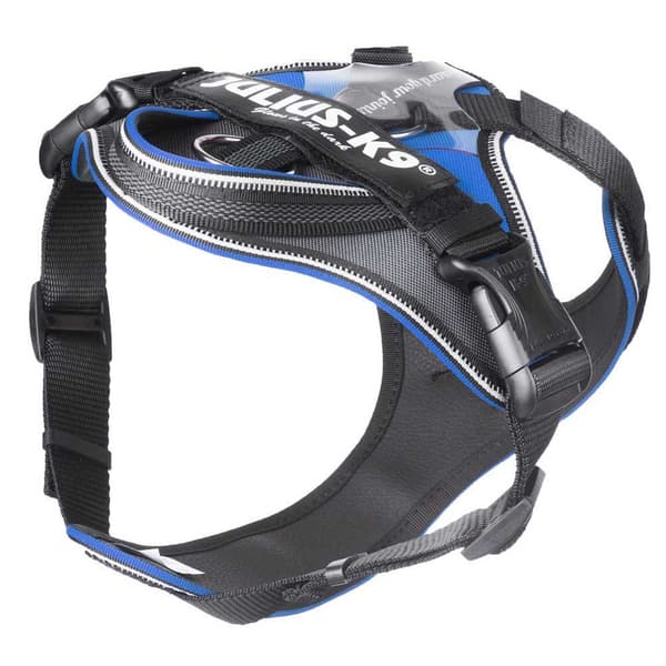 Julius K-9 Sele Idc® Longwalk Svart Mini