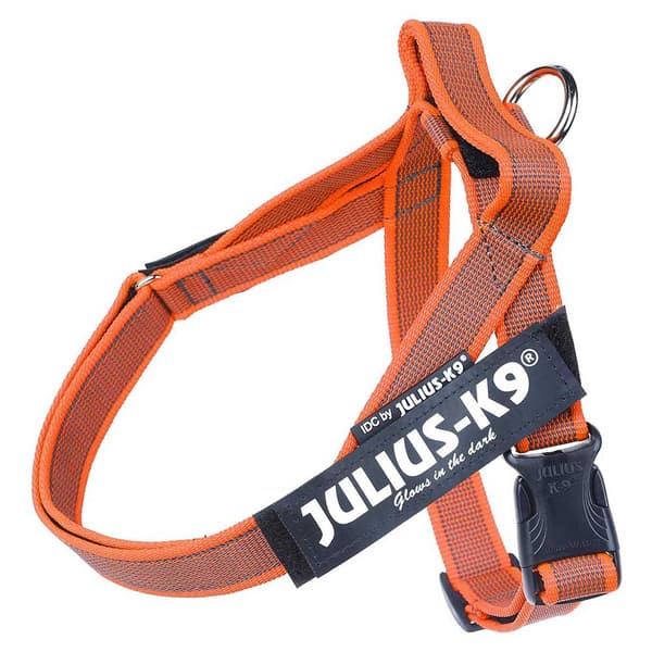 Julius K-9 Norsk Sele Idc Orange L-1