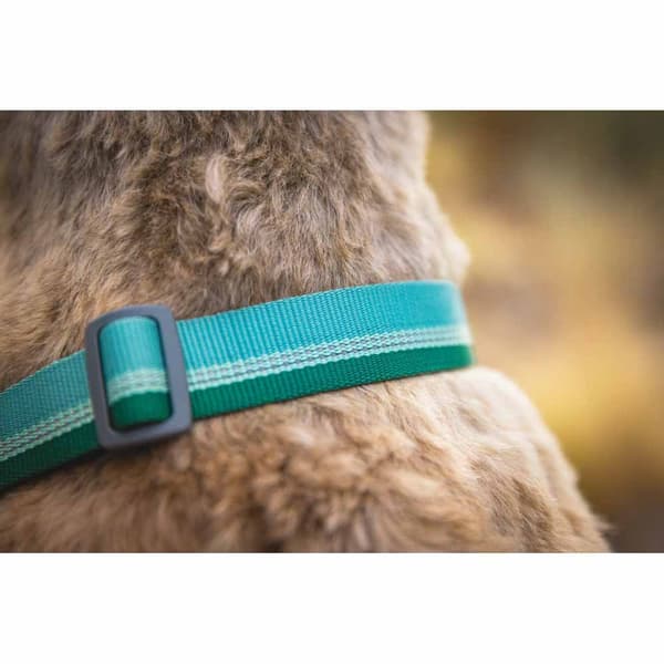 Ruffwear Krage Chain Reaction™ Grönt 36-51 cm