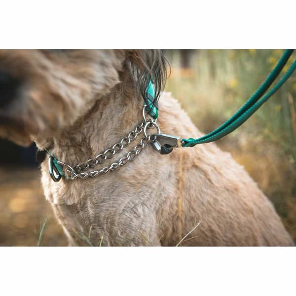 Ruffwear Krage Chain Reaction™ Grönt 36-51 cm
