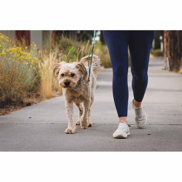Ruffwear Krage Chain Reaction™ Grönt 36-51 cm