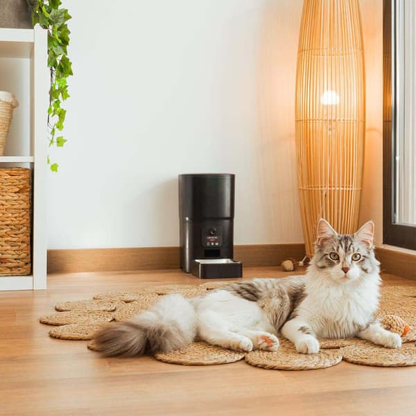 Cecotec Husdjursmatare Pumba 6000 Purrfect Meal Smart Vision