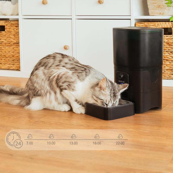 Cecotec Husdjursmatare Pumba 6000 Purrfect Meal Smart Vision