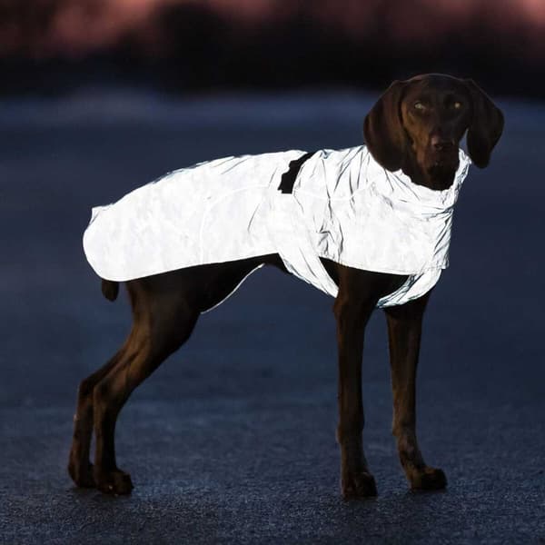 Trixie Hundejakke Lunas Grå 25 cm