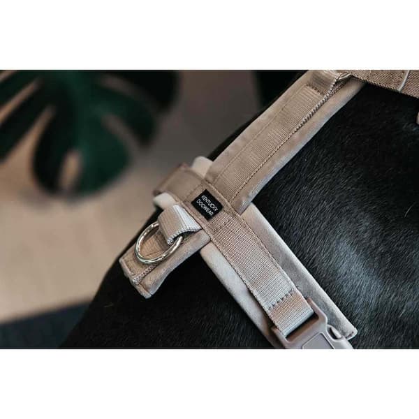 Kentucky Fløjlssele Active Beige 22-36 cm