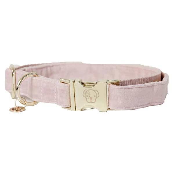 Kentucky Sammetskrage Rosa 36-52 cm