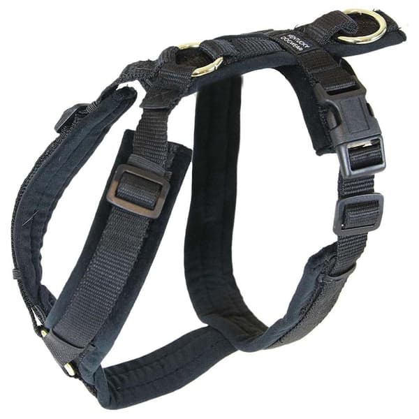 Kentucky Fløjlssele Active Brun 26-40 cm