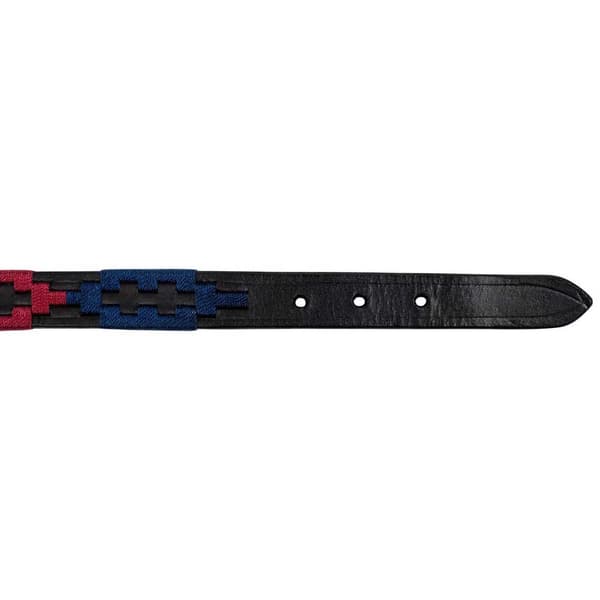 Equestro Polo S Hundhalsband 35 cm
