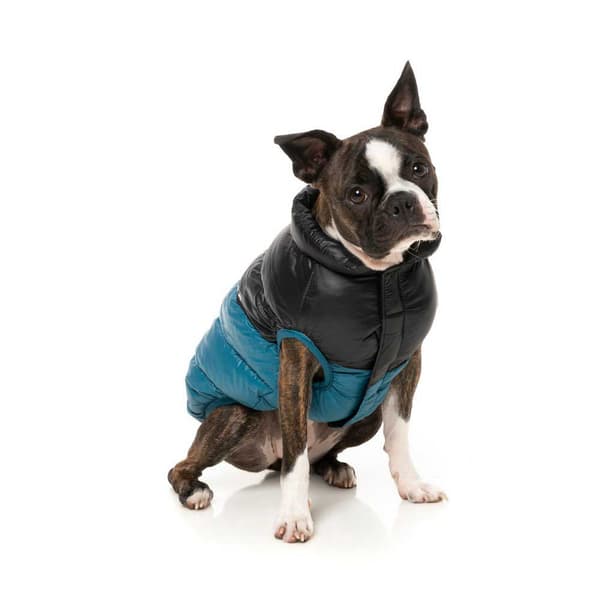 Fuzzyard Hundejakke South Harlem Blå 6