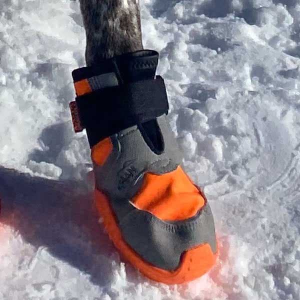 I-dog Sko Khan Pad N´polar Orange 45 mm