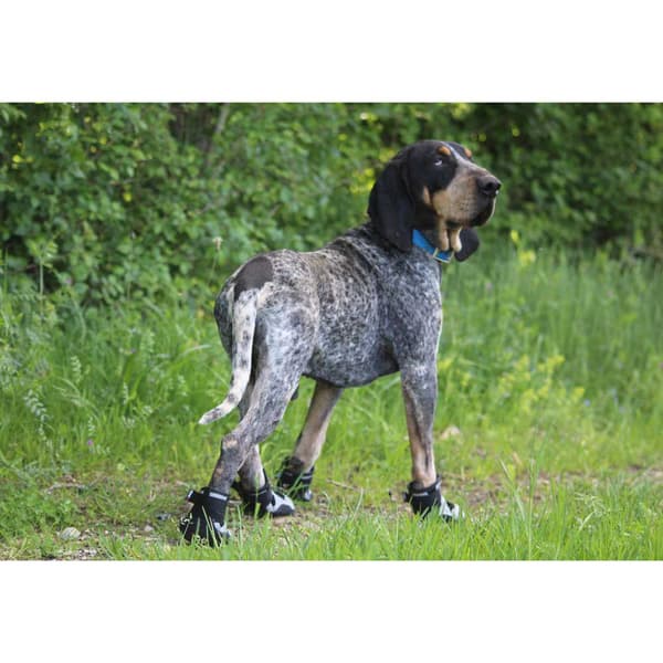 I-dog Skor Khan Pad N´air Grå 45 mm