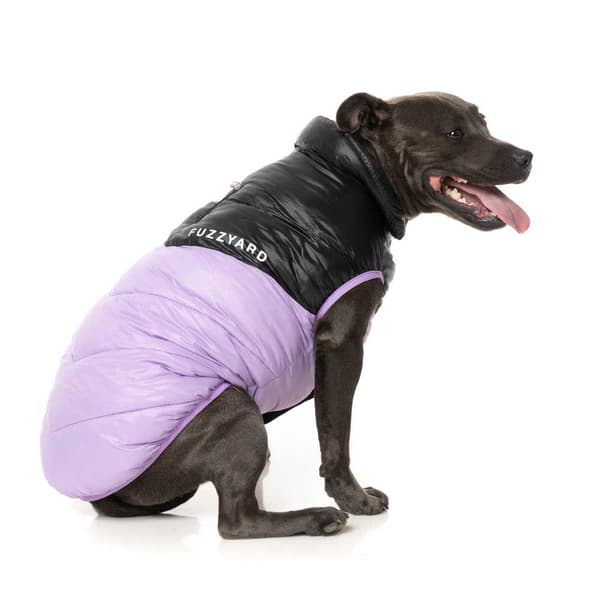 Fuzzyard Hundjacka South Harlem Lila 5