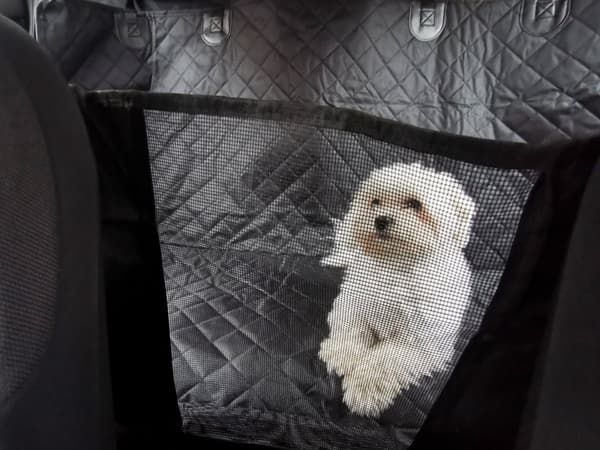Vattentätt hund bilmatta överdrag