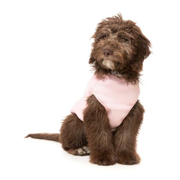 Fuzzyard Hundjacka East Macgyver Rosa 2