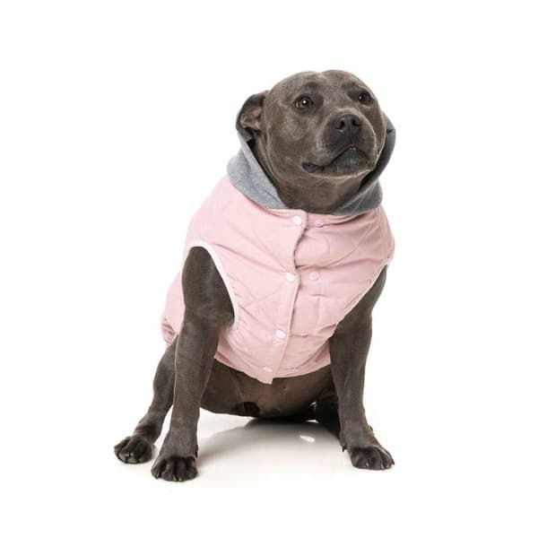 Fuzzyard Hunde Sweatshirt Hættetrøje Cremorne Rosa 5