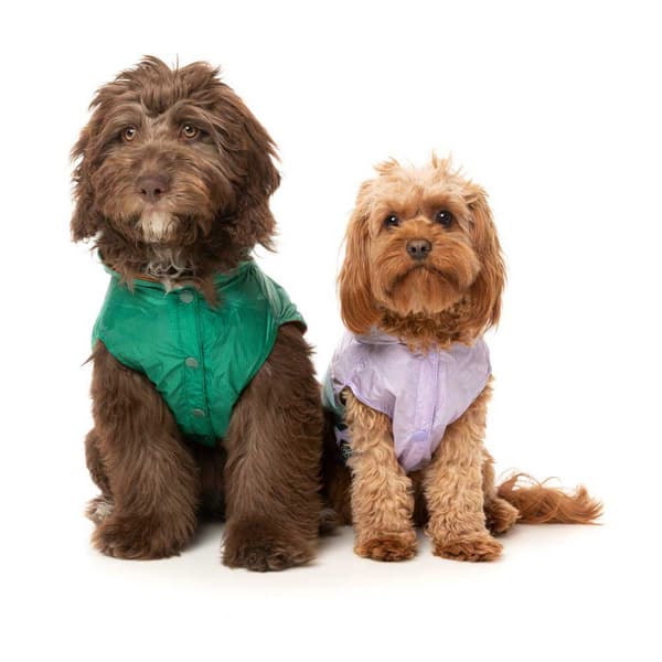 Fuzzyard Hunde Regnslag Ormond Lilla 6