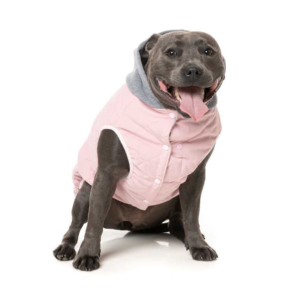 Fuzzyard Hundtröja Hoodie Cremorne Rosa 6