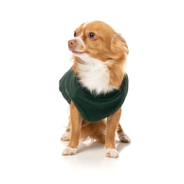 Fuzzyard Hundejakke East Macgyver Grøn 2