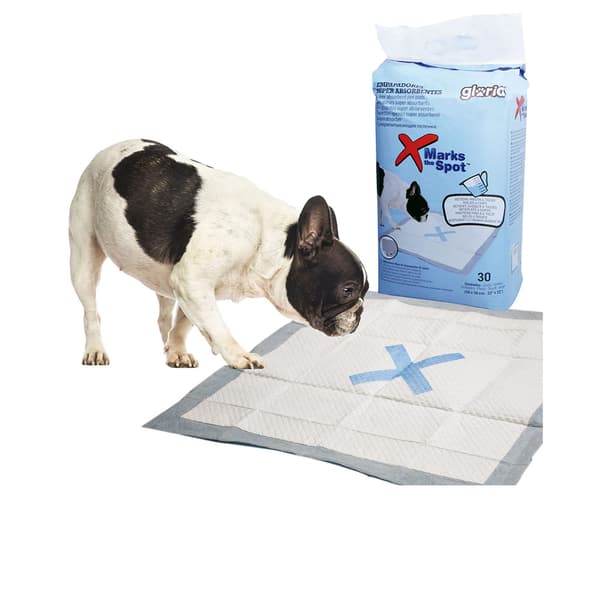 MARKS THE SPOT super absorbent pads 30 units
