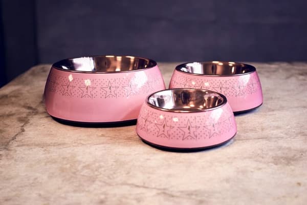 Hund Skål Rostfri Rosa med mönster - 500 ml - 2-Pack, Hundskål