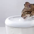 Miniatyrbilde 2 av 2: Petsuper vannfontene for kjæledyr 2,5 liter med smart filtrering - Hvit