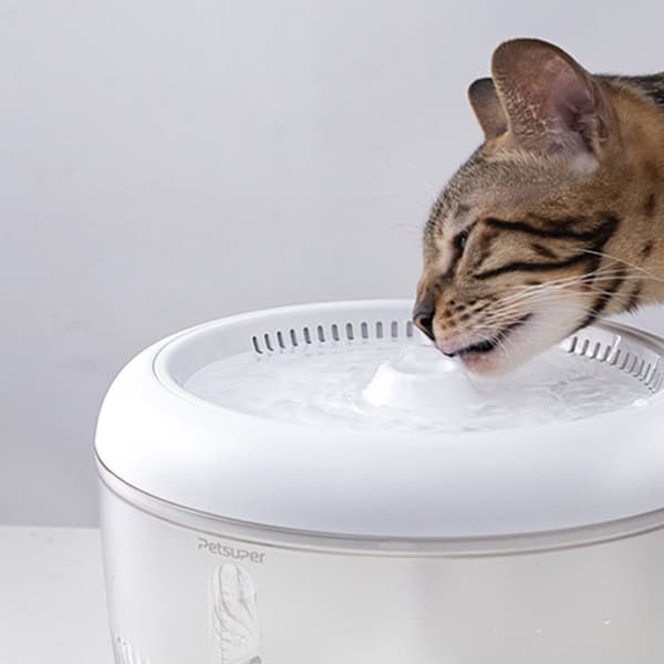 Petsuper vannfontene for kjæledyr 2,5 liter med smart filtrering - Hvit