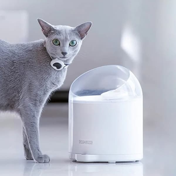 Catlink Pure 2 lemmikkieläinten vedenlähde 2.6L