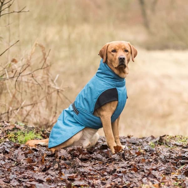 Trixie Hundejakke Riom Blå 25 cm