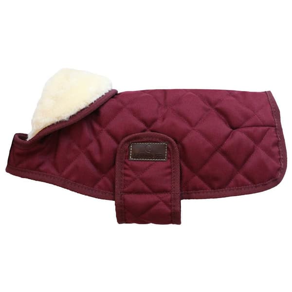 Kentucky Hundrock Original Lila 23-27 cm
