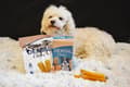 Miniatyrbild 2 av 2: Dental Sticks box - 4-Pack