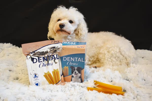 Dental Sticks box - 4-Pack