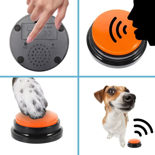 Sæt med 4 kommunikationsknapper til en TALKER hund