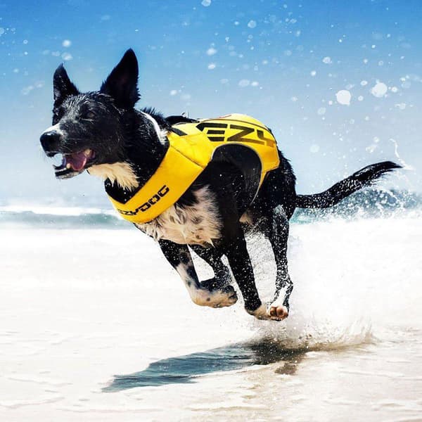 Ezydog X2 Boost Hundejakke  XL