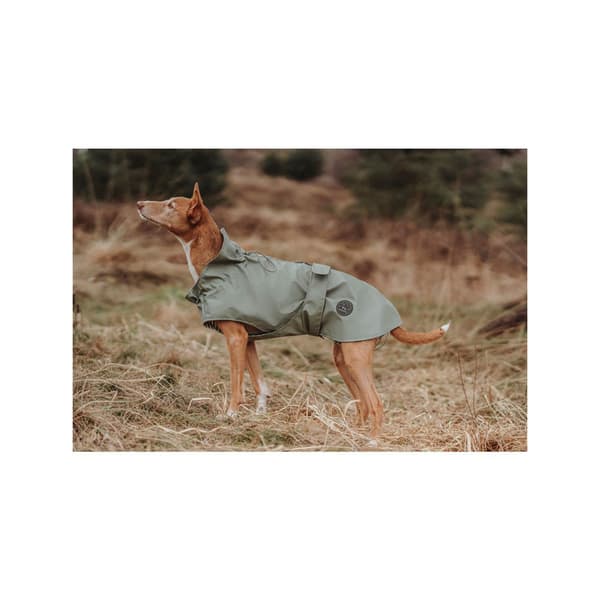 Hunter 69665 Vandtæt Jakke Til Hund 45 Cm