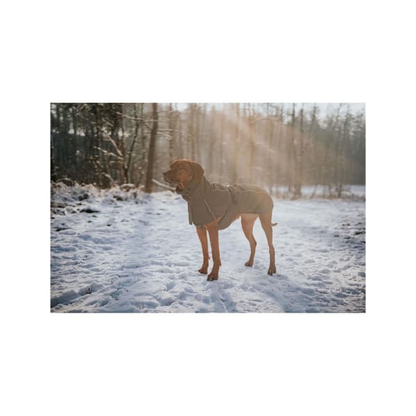 Hunter Nordby 203439 Hundejakke 45 Cm
