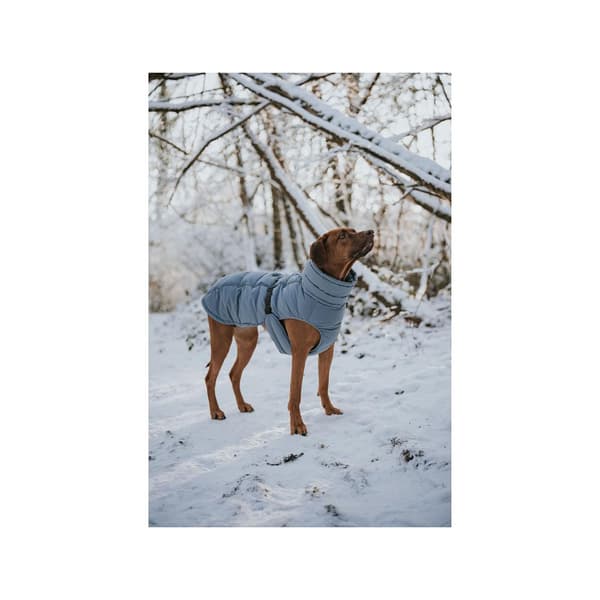 Hunter Paxson 203521 Hundejakke 36 Cm