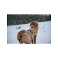 Miniatyrbillede 3 af 4: Hunter Paxson Hundejakke 32 Cm