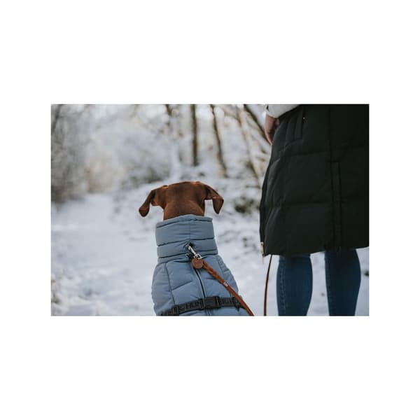 Hunter Paxson Hundejakke 44 Cm