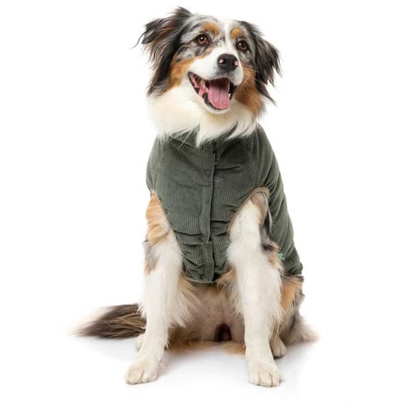 Fuzzyard Hundejakke Mosman Puffer Grøn 1