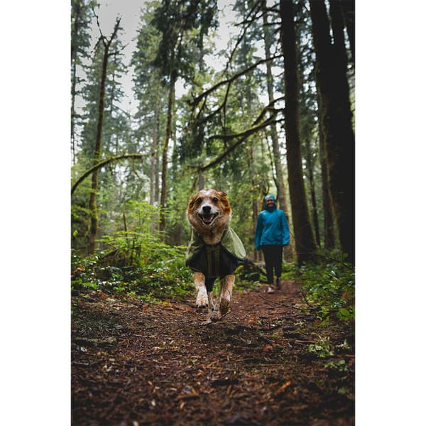 Ruffwear Sun Shower™ Regnfrakke Til Hund Grøn M