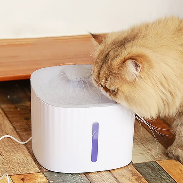 Springvand til katte - vander
