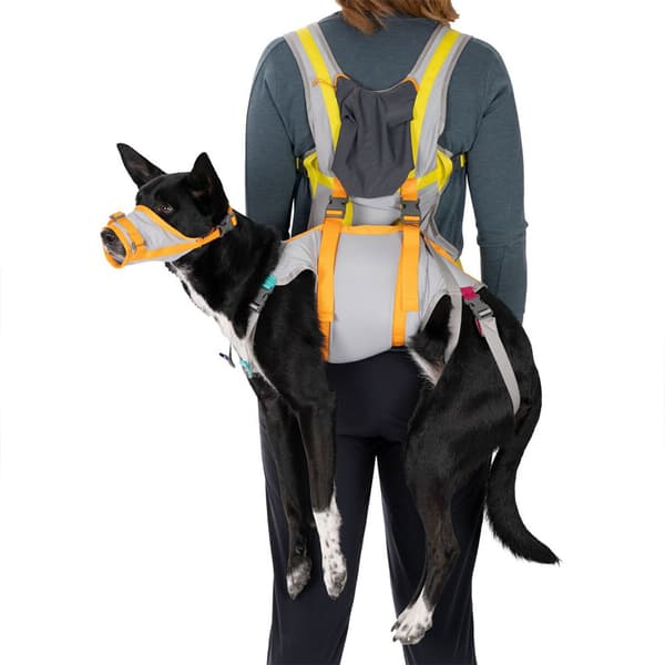 Ruffwear Backtrak™ Evakuointipakkaus Oranssi L