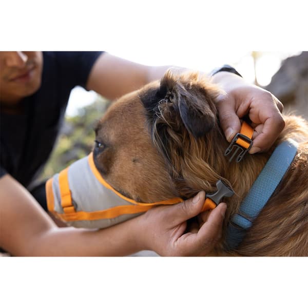 Ruffwear Backtrak™ Evakuointipakkaus Oranssi L