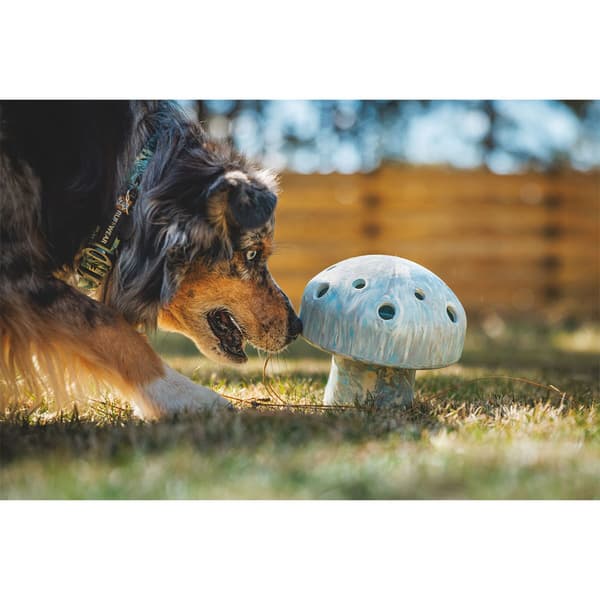 Ruffwear Porchini™ Purulelu Monivärinen