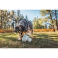 Pikkukuva 5 / 7: Ruffwear Porchini™ Purulelu Monivärinen