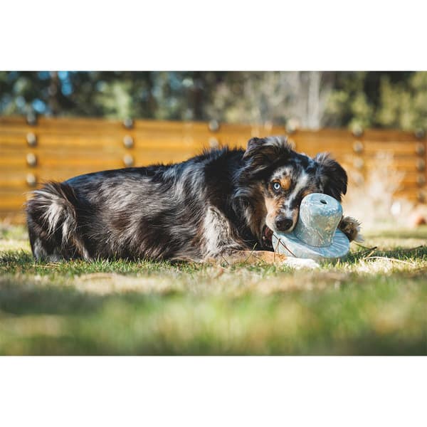 Ruffwear Porchini™ Purulelu Monivärinen